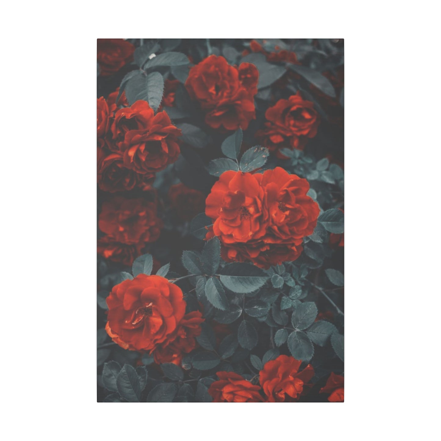 Romantic Red Roses Canvas Print - Floral Wall Art for Home Decor