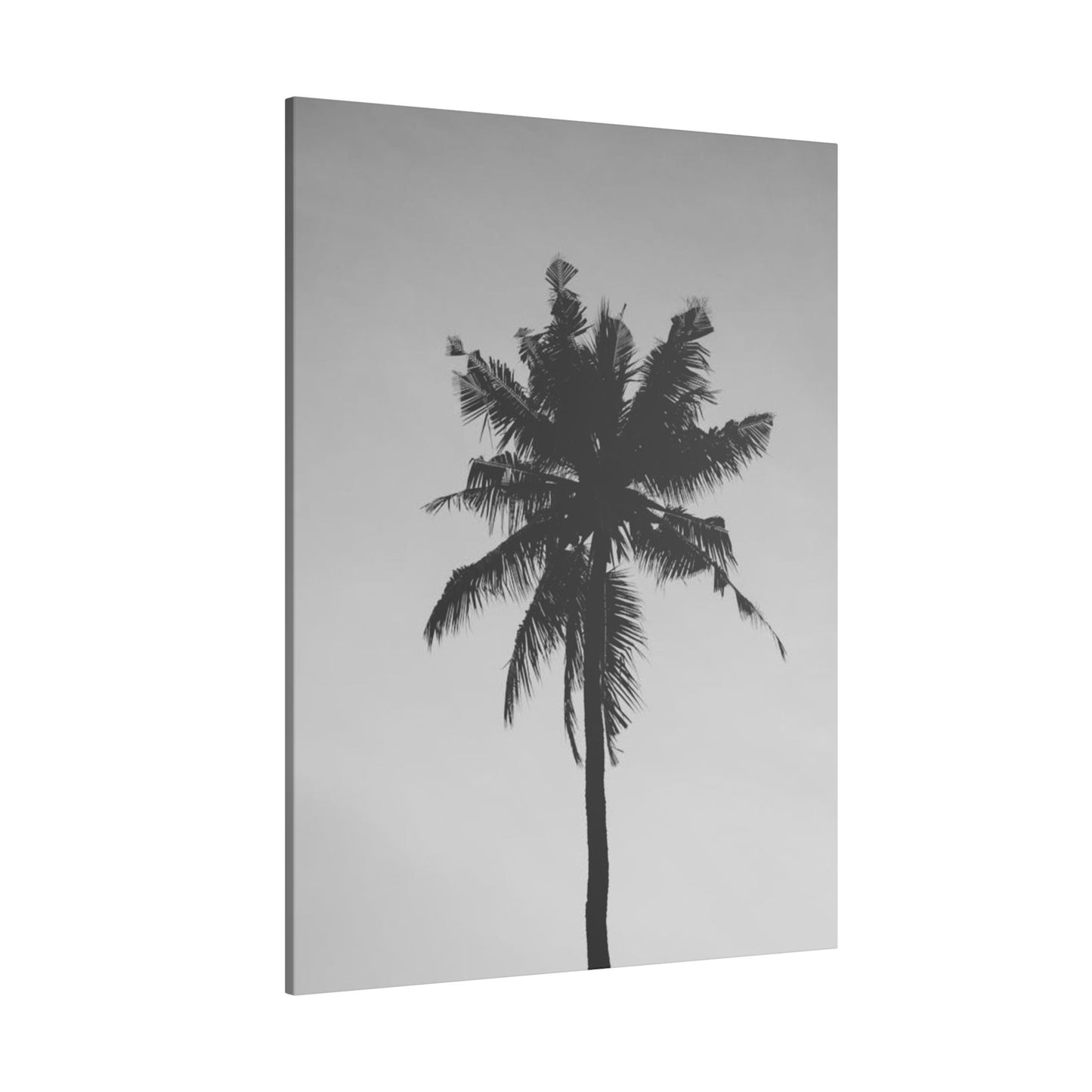 Minimalist Black and White Palm Tree Print Canvas Art