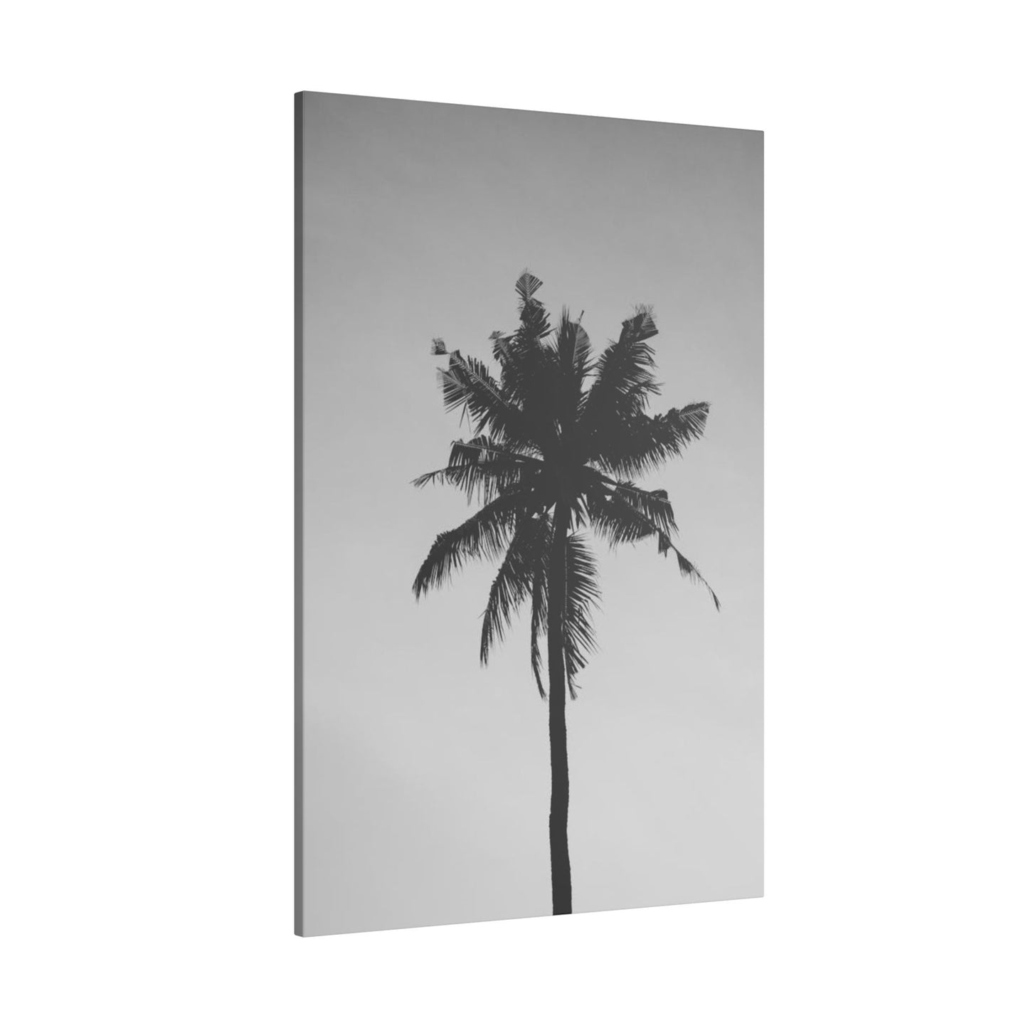 Minimalist Black and White Palm Tree Print Canvas Art