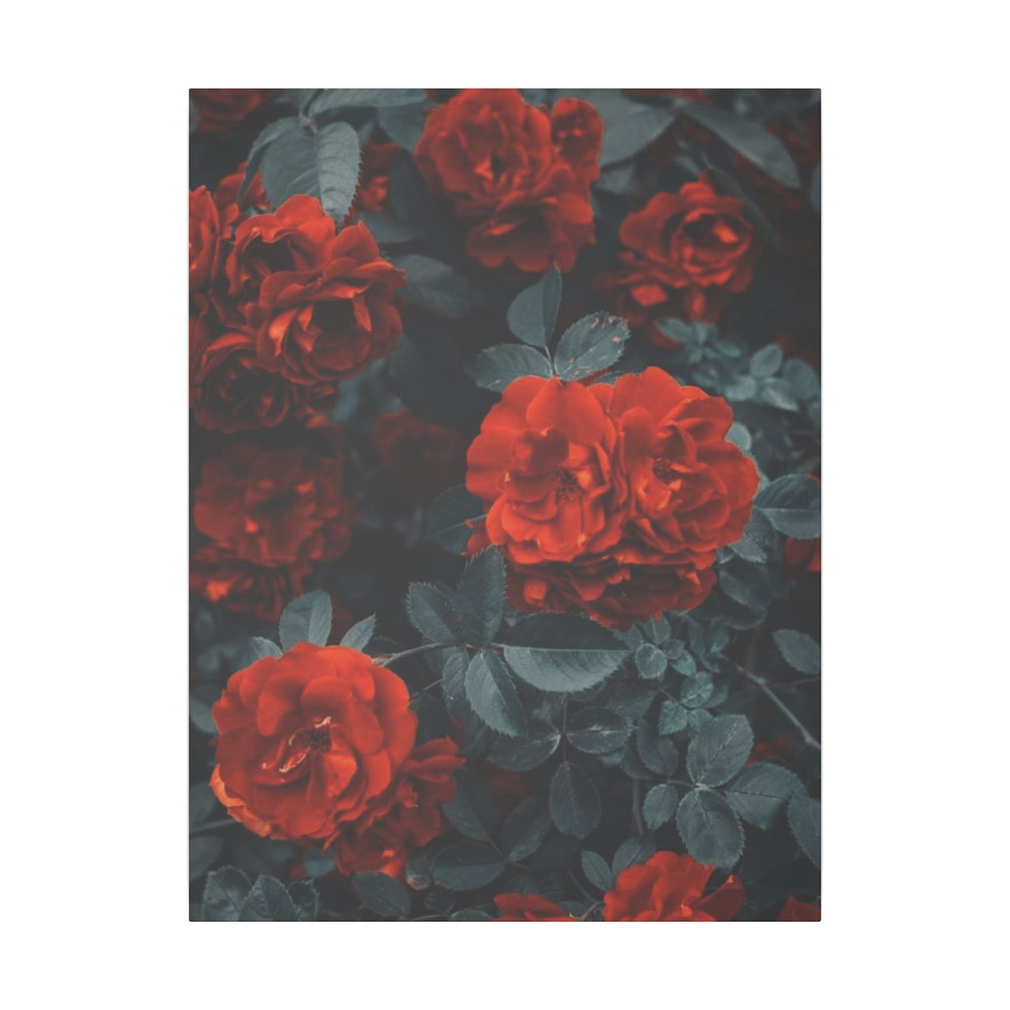 Romantic Red Roses Canvas Print - Floral Wall Art for Home Decor