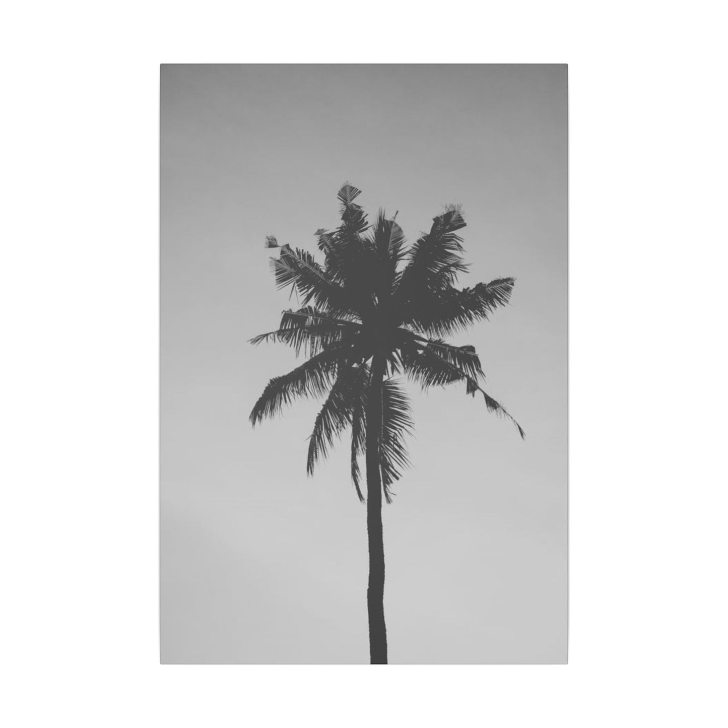 Minimalist Black and White Palm Tree Print Canvas Art