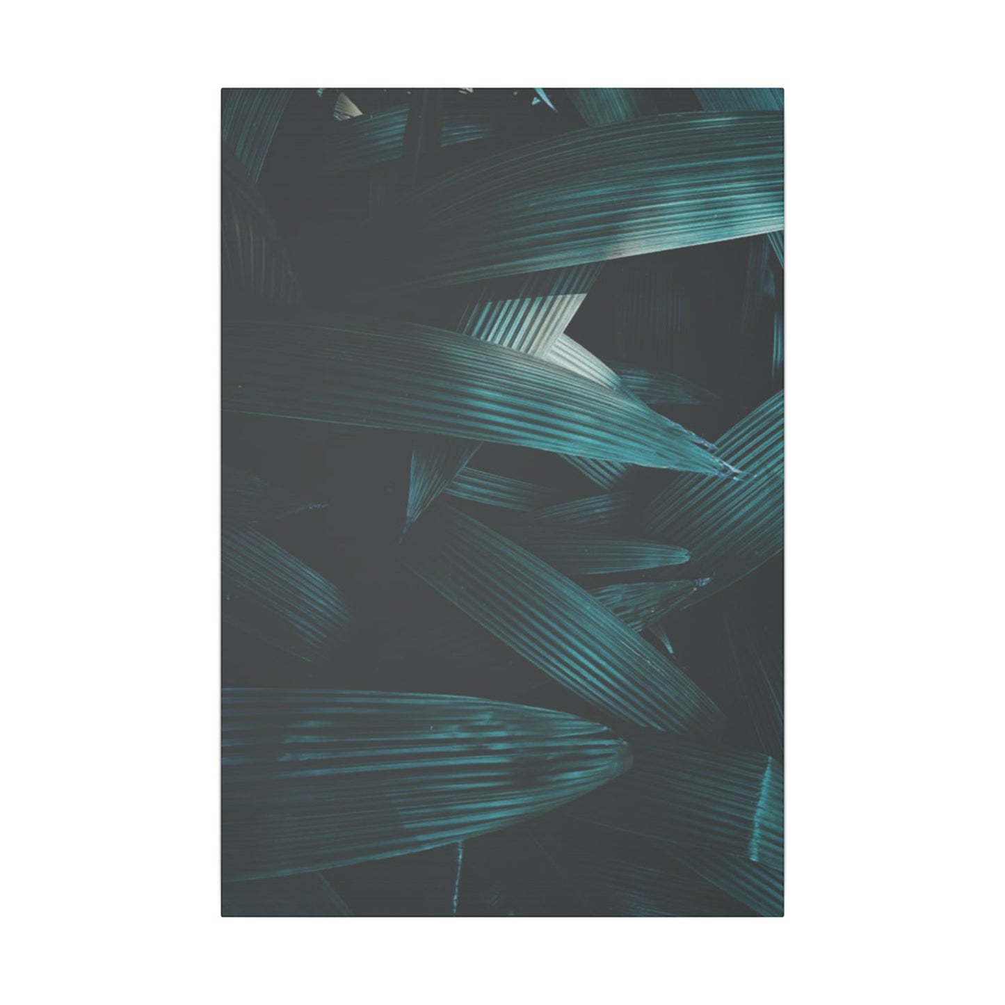 Tropical Leaf Print Canvas - Modern Wall Art Decor for Home & Office